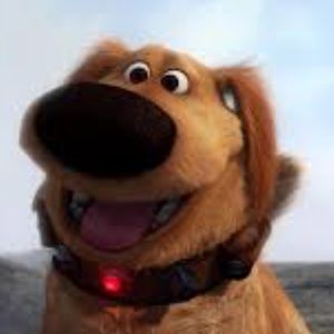 Meet your Posher, Shawn